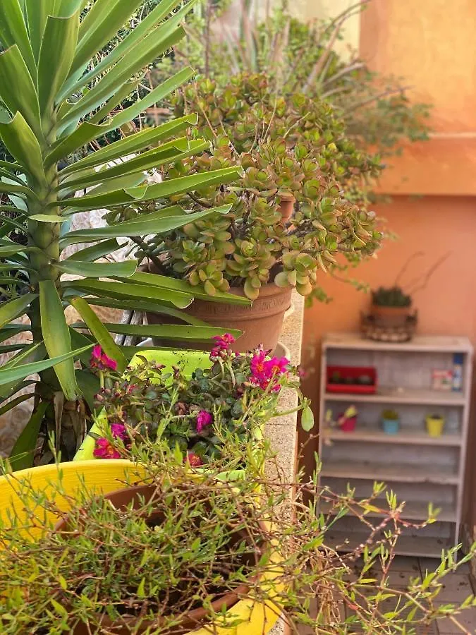 A Casa Di Oba, A Pochi Minuti Dal Mare Lejlighed Pula