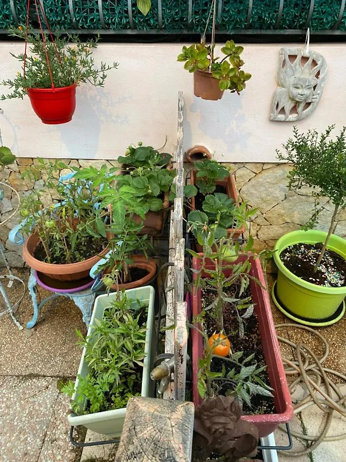 A Casa Di Oba, A Pochi Minuti Dal Mare Lejlighed Pula Italien